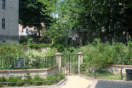 North Pacific Playground 