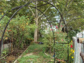 Orient Grove 