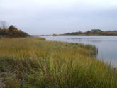 Paerdegat Basin Park 