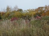 Dubos Point Wildlife Sanctuary 