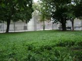 East Springfield Playground 