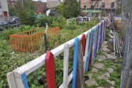 El Flamboyan Community Garden Harvest Fair 
