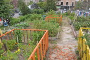El Flamboyan Community Garden Harvest Fair 