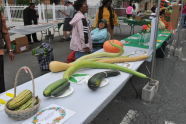 El Flamboyan Community Garden Harvest Fair 
