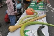 El Flamboyan Community Garden Harvest Fair 