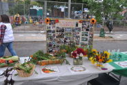 El Flamboyan Community Garden Harvest Fair 