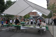 El Flamboyan Community Garden Harvest Fair 