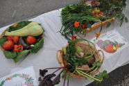 El Flamboyan Community Garden Harvest Fair 