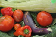 El Flamboyan Community Garden Harvest Fair 