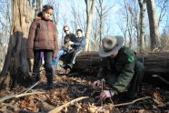 Building a Fire 