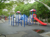 Woods Playground 