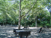 Trinity Park 
