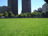 Roberto Clemente Ballfield 