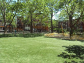 Raymond Bush Playground 