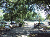 Park 