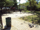Park 