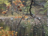 Bunker Ponds Park 