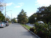 Forest Mall 