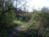 Graniteville Quarry Park 