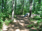 Ingram Woods 