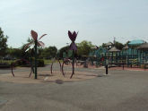 Jennifer's Playground 