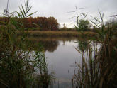 Mariners Marsh Park 
