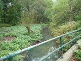 Park 