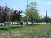 Staats Circle 