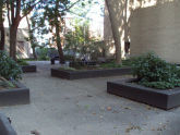Alexander's Alley 