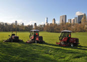 First Mow at Central Park's Sheep Meadow 