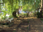 Brook Park 