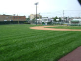 Castle Hill Little League 