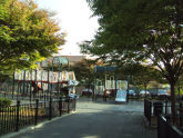 Colgate Close 