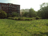 Cpl Fischer Park 