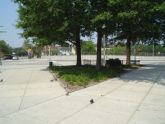Derosa O'Boyle Triangle 