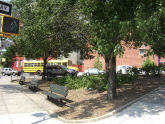 Freeman Triangle 