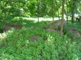 Givans Creek Woods 
