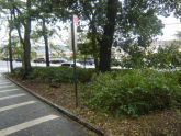 Heath Triangle 