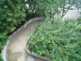 Jerome Slope 