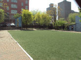 Little Claremont Park 