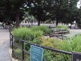 Rose Hill Park 