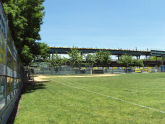 Samuel H. Young Park 