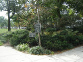 Schneider Sampson Square 