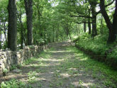 University Woods 