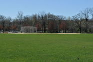 Spring at Clove Lakes Park 