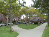 Veterans Circle 