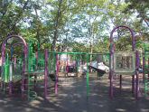 Veterans Grove 