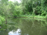 Udalls Cove Park 