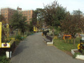 Two Coves Community Garden 