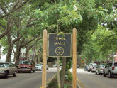 Tudor Malls 